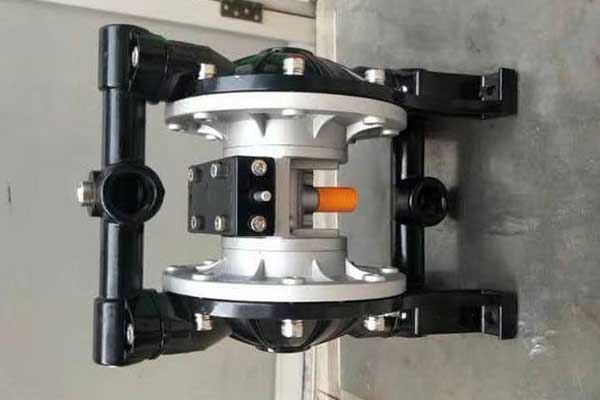 Ink pump single direction